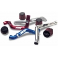 AEM Cold Air Intake
