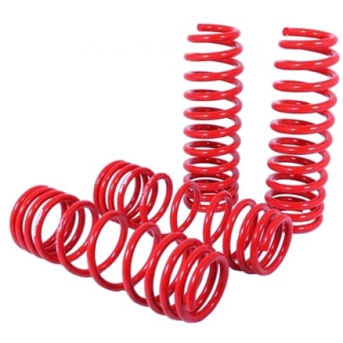 1991 Honda accord lowering springs #4