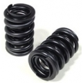 Valve Springs Valve Springs