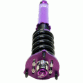 D2 Racing RS Coilovers D2 Racing RS Coilovers