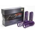 D2 Racing Lowering Springs D2 Racing Lowering Springs