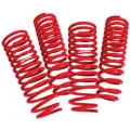 Lowering Springs